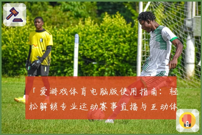 「爱游戏体育电脑版使用指南：轻松解锁专业运动赛事直播与互动体验」